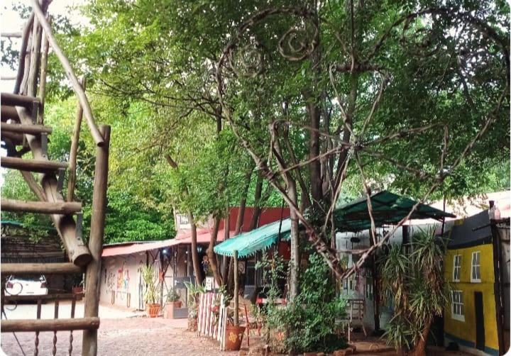 Paljas Backpackers Hotell Potchefstroom Eksteriør bilde